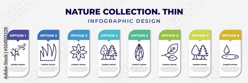infographic template with icons and 8 options or steps. infographic for nature collection. thin concept. included leafless tree, grass leaves, petals, tree with big foliage, flower seeds, branches