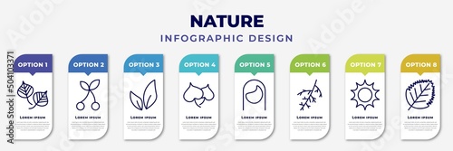infographic template with icons and 8 options or steps. infographic for nature concept. included poplar leaf, cherry leaf, tree leave, cercis leaf, hair style, larch sol, birch editable vector.