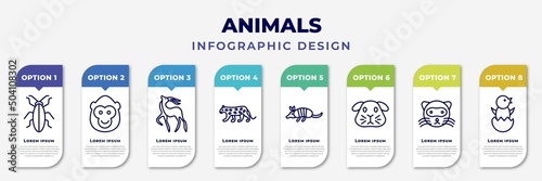 infographic template with icons and 8 options or steps. infographic for animals concept. included cockroach, ape, gazelle, snow leopard, armadillo, guinea pig, ferret, chick editable vector.