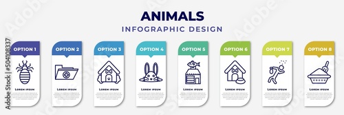 infographic template with icons and 8 options or steps. infographic for animals concept. included louse, medic folder, dog house, bunny, fish shop, doghouse, drunk, litter box editable vector.