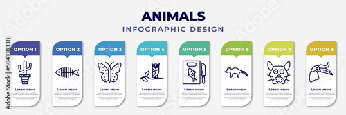 infographic template with icons and 8 options or steps. infographic for animals concept. included boho, fish bone, japanese butterfly, wise, fish and knife, coati, japanese cat head, hornbill