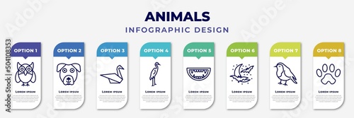 infographic template with icons and 8 options or steps. infographic for animals concept. included big eyes owl, boxerhead, origami swan, heron, monster mouth, moon and bats, robin, paw editable