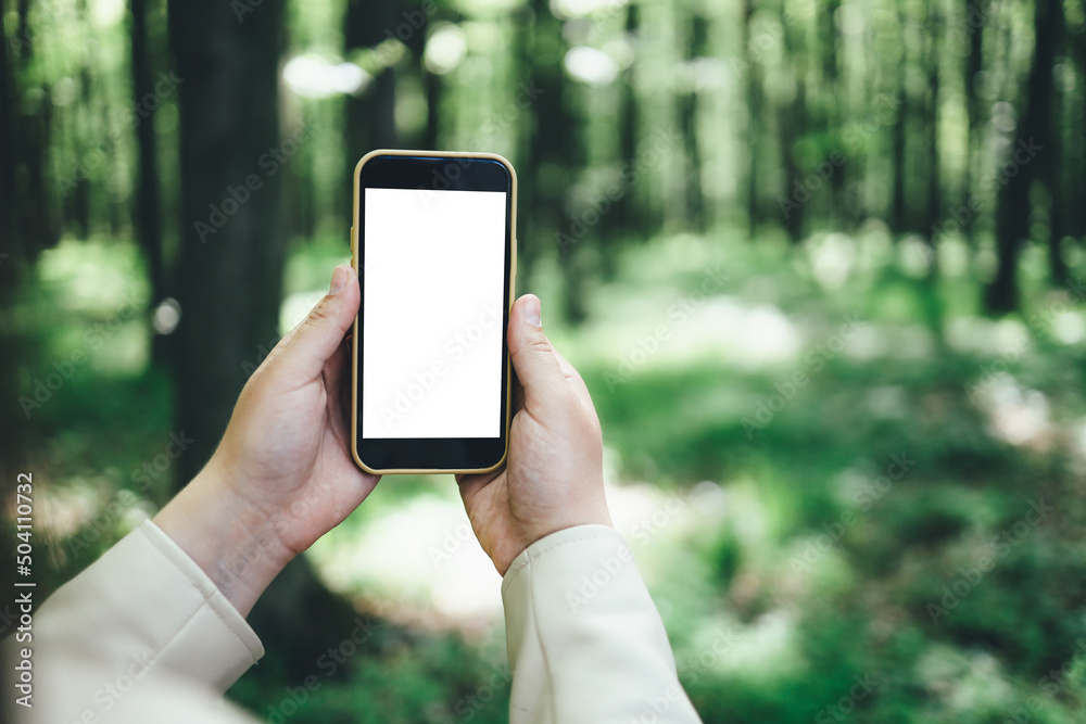 Phone with an isolated screen in a hand on a background of a forest, a place for your text