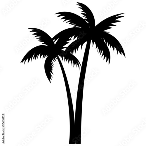 palm trees silhouettes