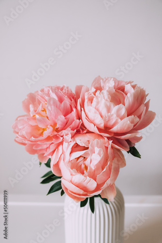 Fototapeta Naklejka Na Ścianę i Meble -  Beautiful bunch of fresh Coral Charm peonies in full bloom in vase against white background, close up. Minimalist floral still life with blooming flowers.