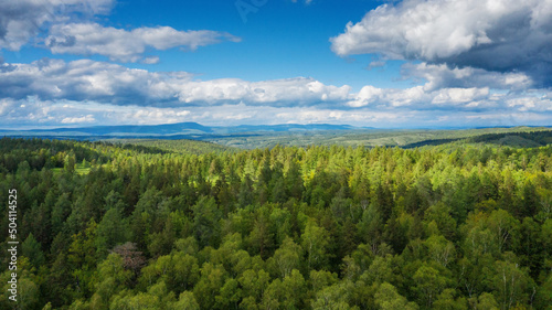 Southern Urals  Ural Mountains  mountain taiga. Aerial view.