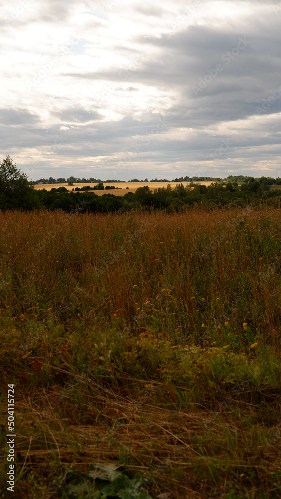 Rural landscape with field at sunset and village in the background. Vologda region Rural landscape with field at sunset and village in the background. Vologda region
