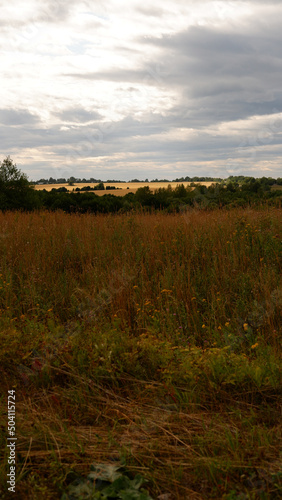 Rural landscape with field at sunset and village in the background. Vologda region