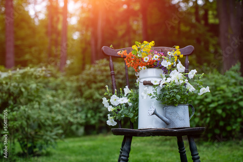 Fototapeta Naklejka Na Ścianę i Meble -  bukiet wiosennych, polnych kwiatów w rustykalnym klimaci w kance na mleko na starym krześle w ogrodzie w promieniach słońca, wiejskie klimaty