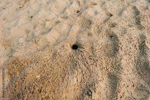 Fluffy crabs hole on white sand beach, Crabs holes on beach sand, Home of a Ghost crab photo