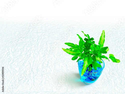 プテリス・アルボリネアタ 常緑シダ植物 和紙の背景