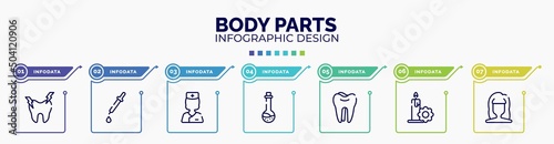 infographic for body parts concept. vector infographic template with icons and 7 option or steps. included hypersensitive, medicine dropper, nurses, medicine liquid in a test tube glass, molar,