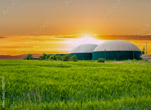 Biogasanlage bei Sonnenuntergang mit Maisfeld