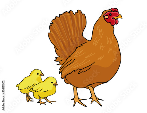 Illustration Huhn mit Kücken, freigestellt