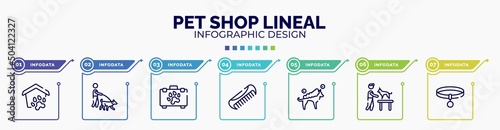 infographic for pet shop lineal concept. vector infographic template with icons and 7 option or steps. included pet shelter, dog walker, pet first aid, comb, washing the dog, dog and veterinarian,