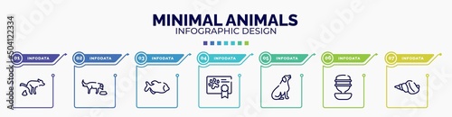 infographic for minimal animals concept. vector infographic template with icons and 7 option or steps. included dog poo, feeding the dog, big piranha, health certificate, dog seating, water
