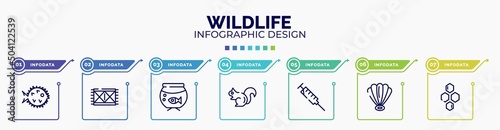 infographic for wildlife concept. vector infographic template with icons and 7 option or steps. included puffer fish, rug, aquarium, chipmunk, syringe, shell, hive editable vector.