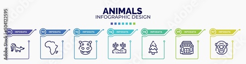 infographic for animals concept. vector infographic template with icons and 7 option or steps. included skunk, africa, hippopotamus, desert, pine, gift shop, gorilla editable vector.