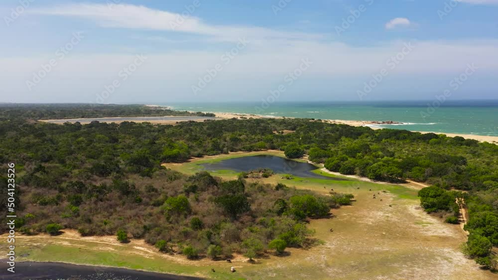 Wild beach and ocean in Kumana national park surrounded by jungle. Wild beach and ocean in Kumana national park surrounded by jungle.
