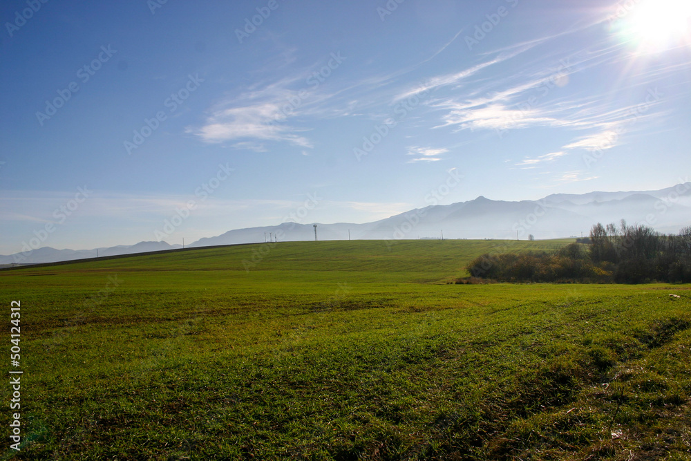 Obraz premium field and blue sky