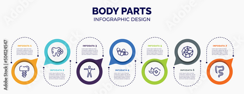 infographic for body parts concept. vector infographic template with icons and 7 option or steps. included dentist tooth with metallic root, tooth with a plus, men, pill capsule, 24 hours medical