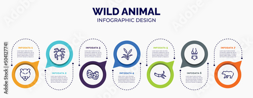 infographic for wild animal concept. vector infographic template with icons and 7 option or steps. included panther, null, easter egg, reeds, squid, bikini, grizzly bear for abstract background.
