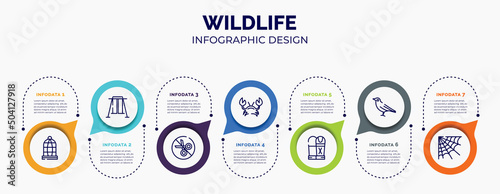 infographic for wildlife concept. vector infographic template with icons and 7 option or steps. included cage, swing, no cut, crab, sarcophagus, crow, cobweb for abstract background.