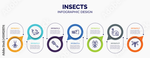 infographic for insects concept. vector infographic template with icons and 7 option or steps. included termite, whale, pet brush, crocodile, cockroach, snail, dragon fly for abstract background.