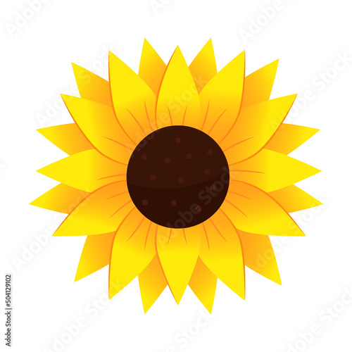 Yellow sunflower  in cartoon style. Vector illustration  isolated on white background.