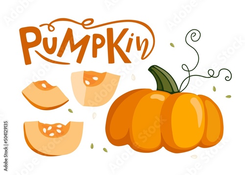 Pumpkin. Whole vegetable and pieces and handwritten lettering label. Healthy eating Vegetable Ingredients for cooking. Autumn flat design for menu, cafe, restaurant, farmers market, vegetarian recipe