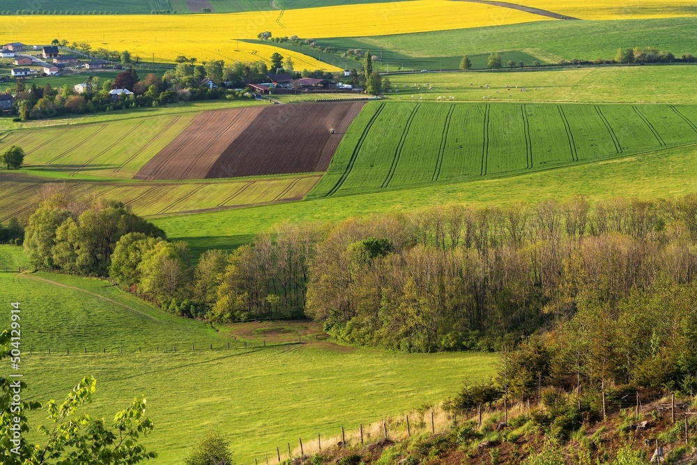 Fototapeta premium Field under the forest at the farm. Kunovice. East Moravia. Europe