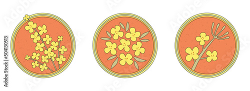 Hand-drawn yellow rapeseed flower. Blooming branch for postcards, logos. Flat retro style. Cartoon vector canola plant. All elements are isolated. Cute design for your icon, sticker, pin.