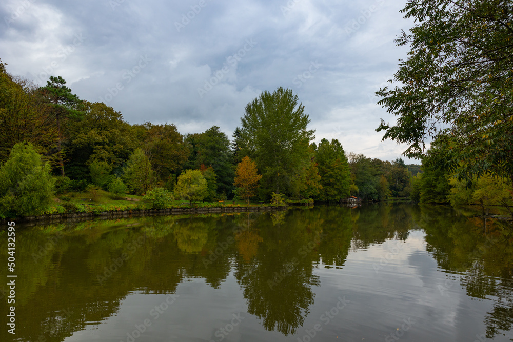 Pond or lake in the forest at autumn or fall with cloudy sky