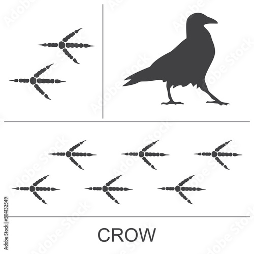 Silhouette and footprints of a crow. Vector illustration.