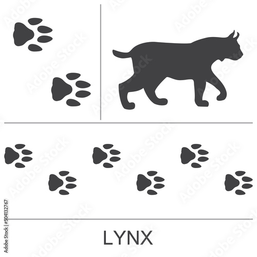 Lynx silhouette and footprints. Vector illustration on a white background.