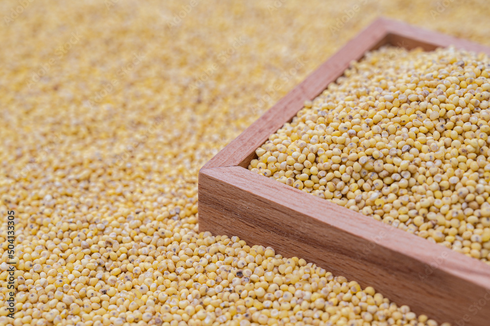 A background with millet stacked and a wooden bowl containing millet. A background with millet stacked and a wooden bowl containing millet.