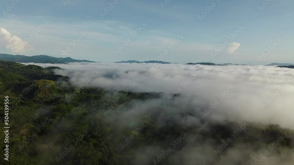 South American rainforest covered with low clouds in misty environment. Aerial perspective South American rainforest covered with low clouds in misty environment. Aerial perspective