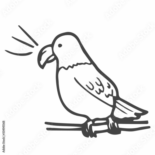 Doodle Parrot sketch in vector. Line drawing of parrot pet concept