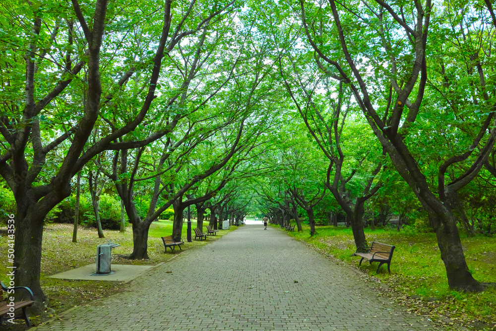 Roadside tree