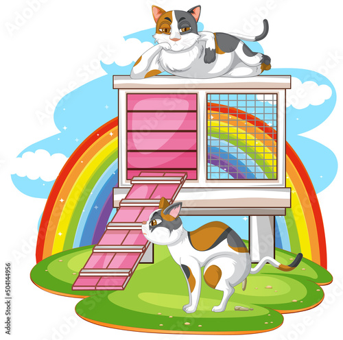 A cat outside the cat house