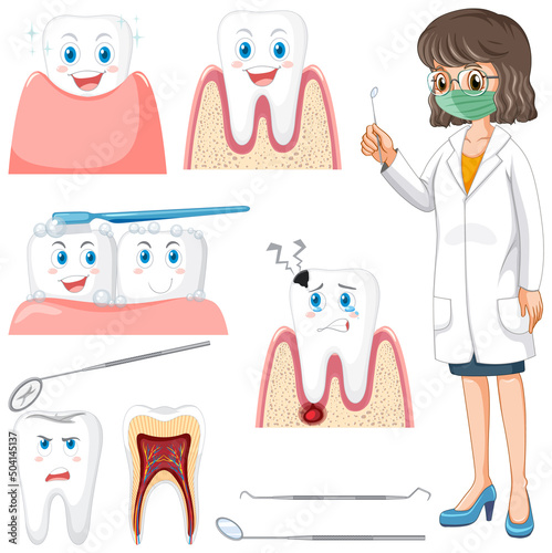 Set of all types of teeth on white background