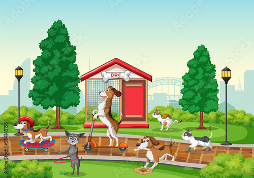 A group of different dog do various activities in the park