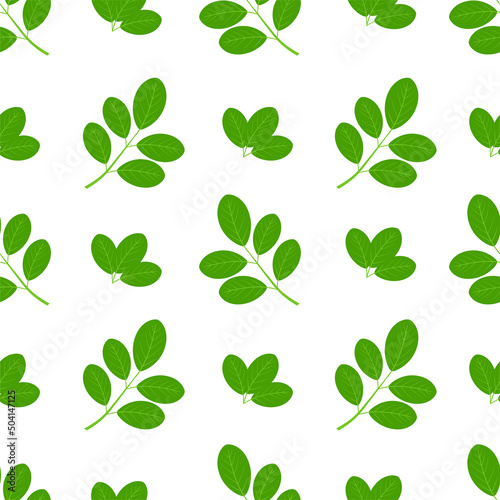 Moringa. Branch and leaves. Seamless pattern.