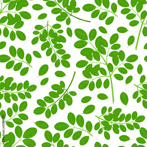 Moringa. Branch, leaves. Color seamless pattern, wallpaper.