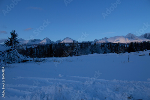 snow covered mountains