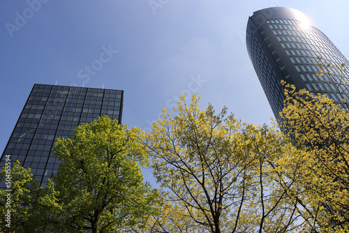 Frühling in der Dortmunder Innenstadt; Erstes Grün vor den Hochhäusern am Freistuhl photo