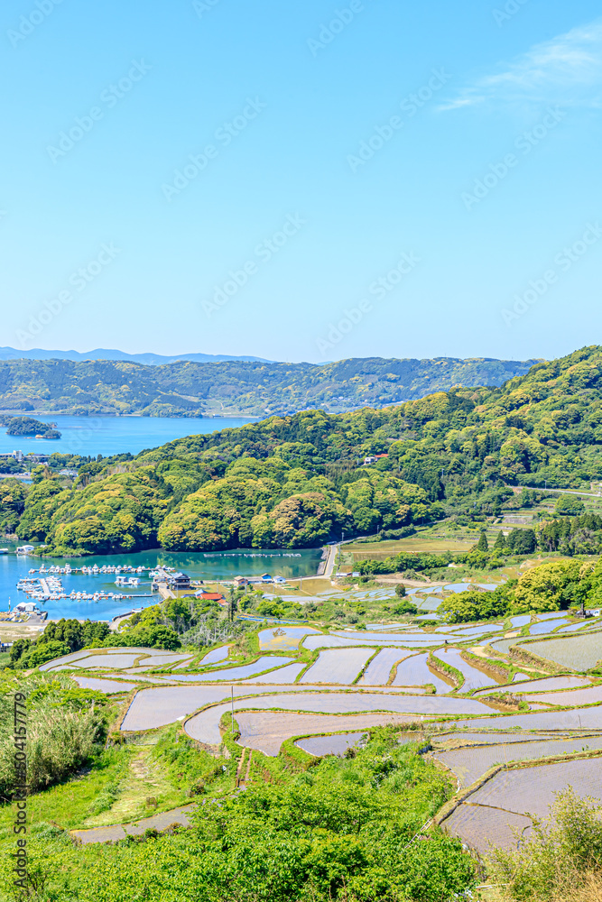 初夏の大浦の棚田　佐賀県唐津市　Ooura Rice Terraces in early summer. Saga-ken Karatsu city.