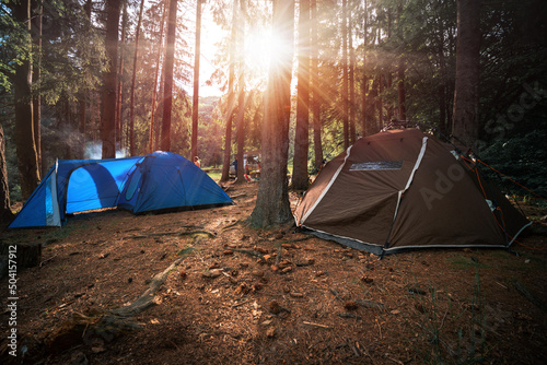 Tent camp among tall conifers. Warm beautiful morning sunrise, sunset. Brown tent with quick installation system. and a blue tent. Rays of the sun. The concept of tourism and recreation.