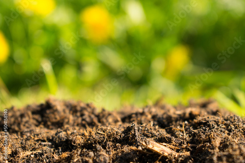 Soil or dirt section on green nature background.