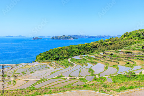 初夏の土谷棚田　長崎県松浦市 Doya Rice Terraces in early summer. Nagasaki-ken Matsuura city. © M・H